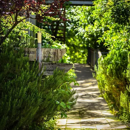 Narkoey Ecologic & Organic Farm Ξενοδοχείο *