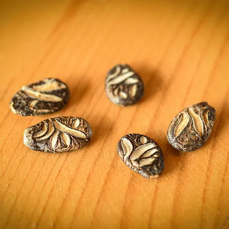 Narkoey Ecologic & Organic Farm * Κοτζαελί