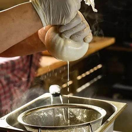 Narkoey Ecologic & Organic Farm ホテル *