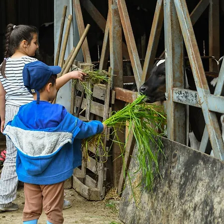 Narkoey Ecologic & Organic Farm Ξενοδοχείο