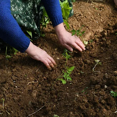 Narkoey Ecologic & Organic Farm * Κοτζαελί