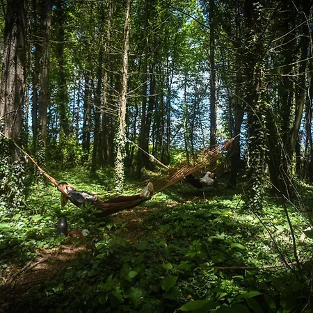 Narkoey Ecologic & Organic Farm