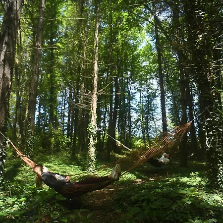 Narkoey Ecologic & Organic Farm *