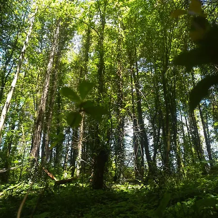 Narkoey Ecologic & Organic Farm