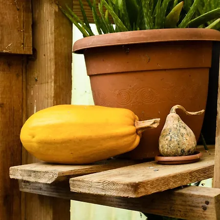 Ξενοδοχείο Narkoey Ecologic & Organic Farm *