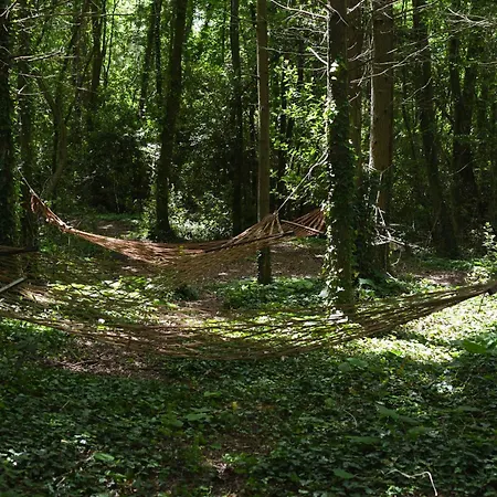 ホテル Narkoey Ecologic & Organic Farm *