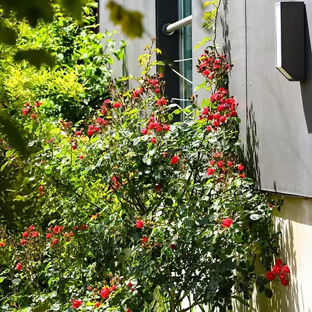 Narkoey Ecologic & Organic Farm Κοτζαελί