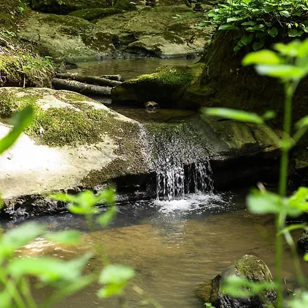 Ξενοδοχείο Narkoey Ecologic & Organic Farm