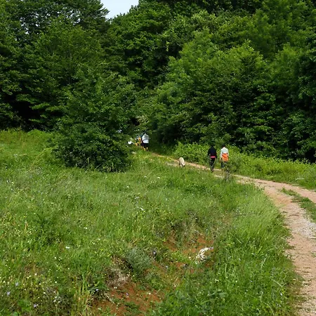 Narkoey Ecologic & Organic Farm Ξενοδοχείο *