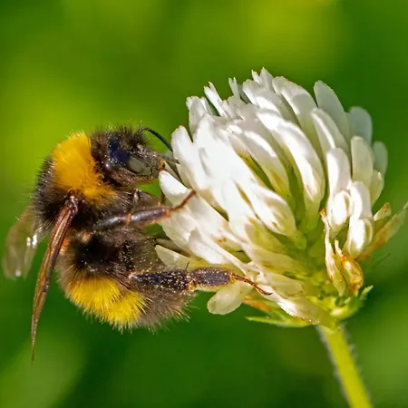 Narkoey Ecologic & Organic Farm * Κοτζαελί