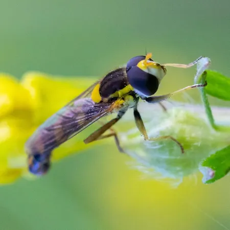 Narkoey Ecologic & Organic Farm ホテル