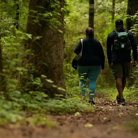 Ξενοδοχείο Narkoey Ecologic & Organic Farm Κοτζαελί
