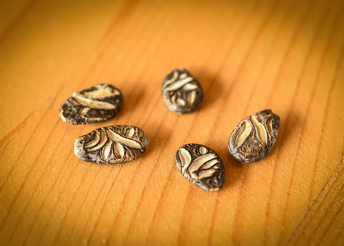 Narkoey Ecologic & Organic Farm * Kocaeli