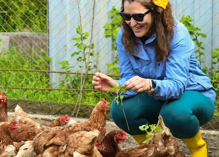 Narkoey Ecologic & Organic Farm Kocaeli