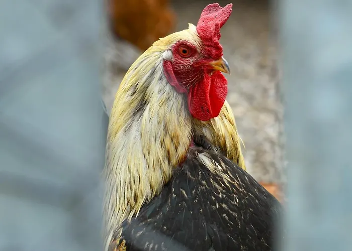 Narkoey Ecologic & Organic Farm * Kocaeli