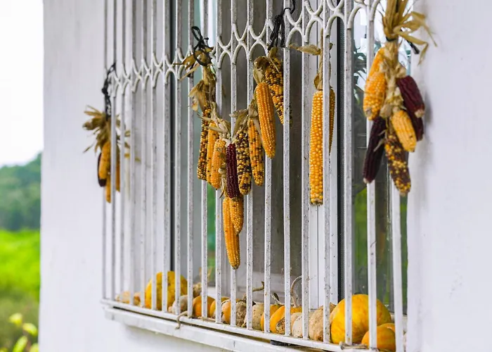 Hotel Narkoey Ecologic & Organic Farm *