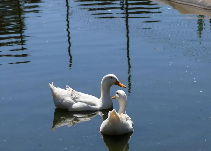 Narkoey Ecologic & Organic Farm * Kocaeli
