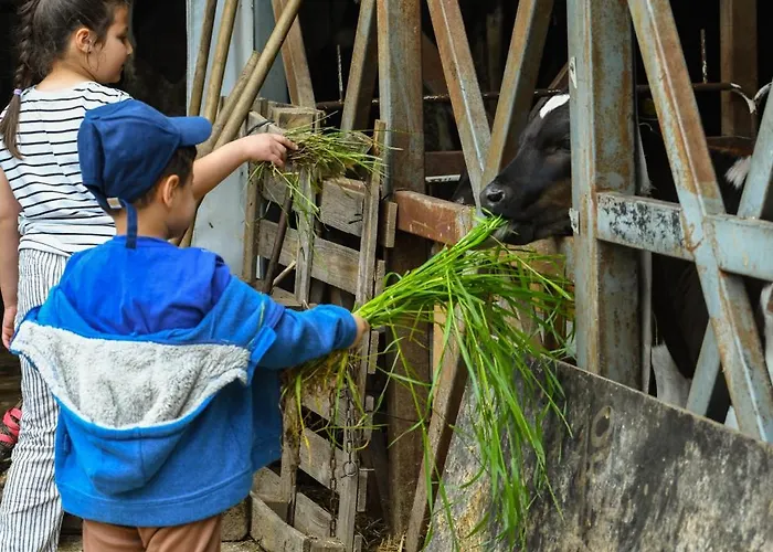 Narkoey Ecologic & Organic Farm Hotel