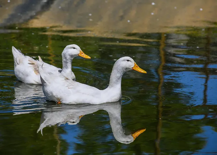 Narkoey Ecologic & Organic Farm Kocaeli