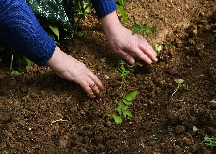 Narkoey Ecologic & Organic Farm * Kocaeli