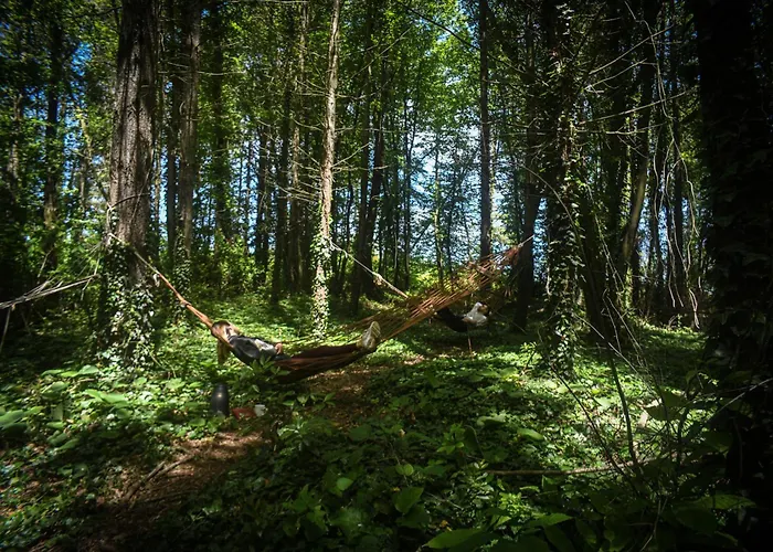 Narkoey Ecologic & Organic Farm