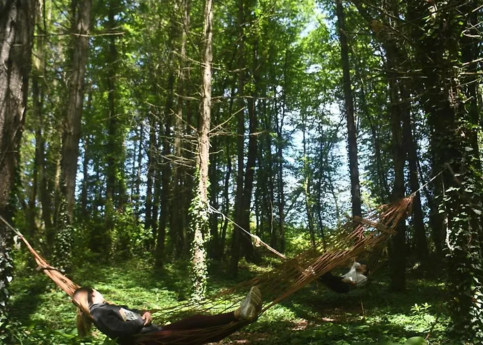 Narkoey Ecologic & Organic Farm *