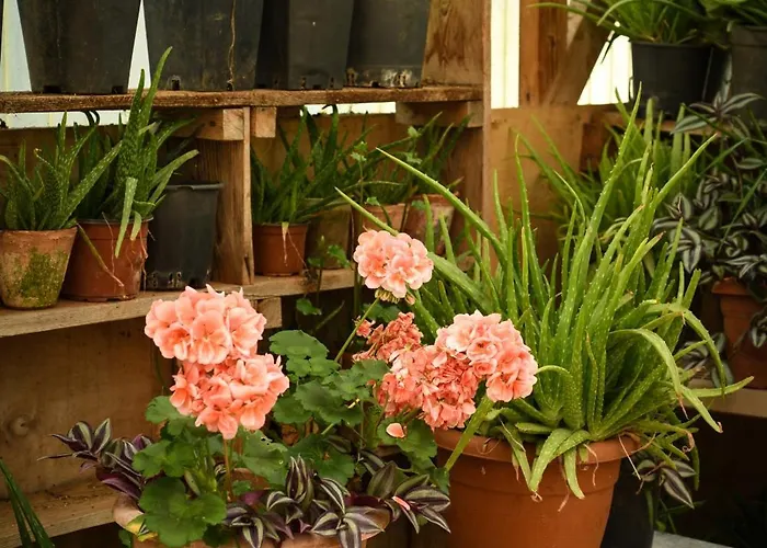 Narkoey Ecologic & Organic Farm Kocaeli