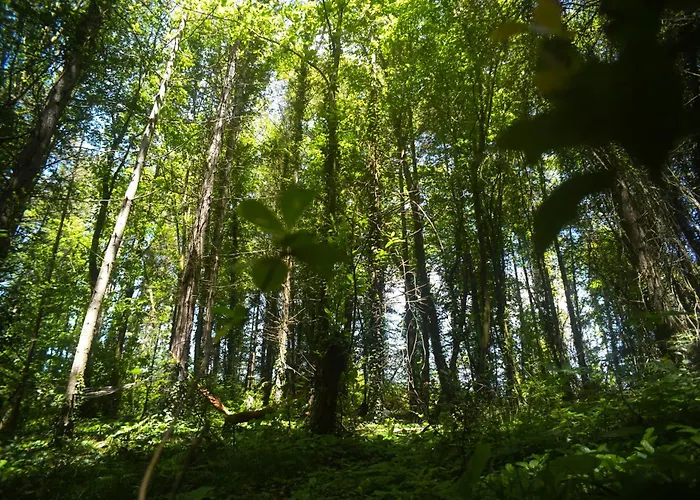 Narkoey Ecologic & Organic Farm