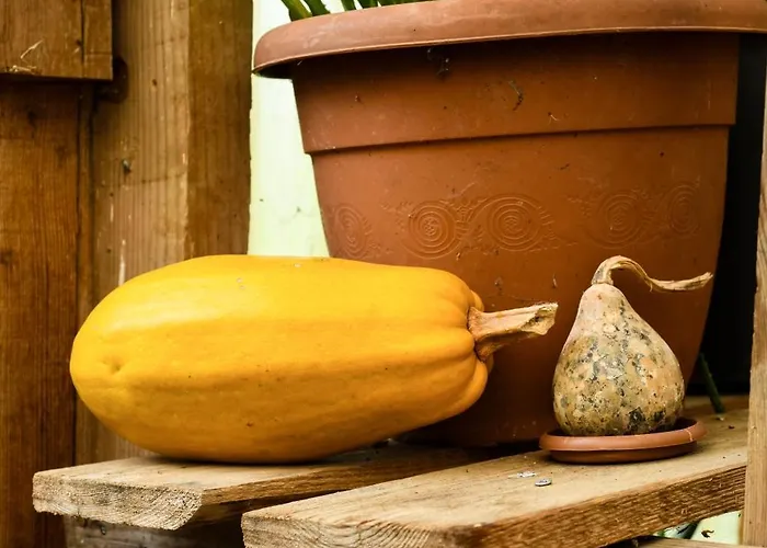 Hotel Narkoey Ecologic & Organic Farm *