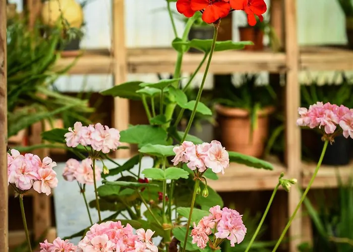 Narkoey Ecologic & Organic Farm Hotel Kocaeli