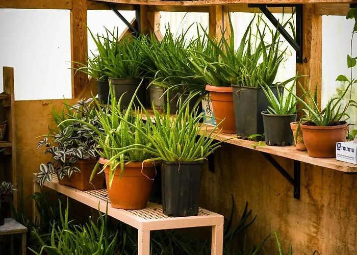 Hotel Narkoey Ecologic & Organic Farm Kocaeli