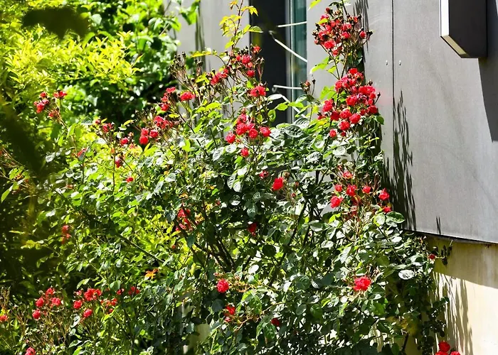 Narkoey Ecologic & Organic Farm Kocaeli