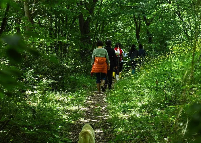 Hotel Narkoey Ecologic & Organic Farm Kocaeli