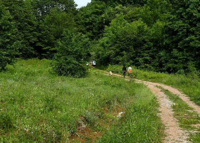 Narkoey Ecologic & Organic Farm Hotel *