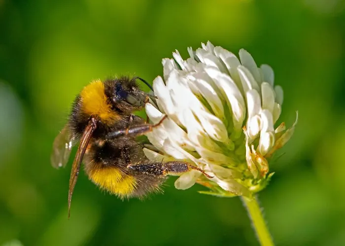 Narkoey Ecologic & Organic Farm * Kocaeli