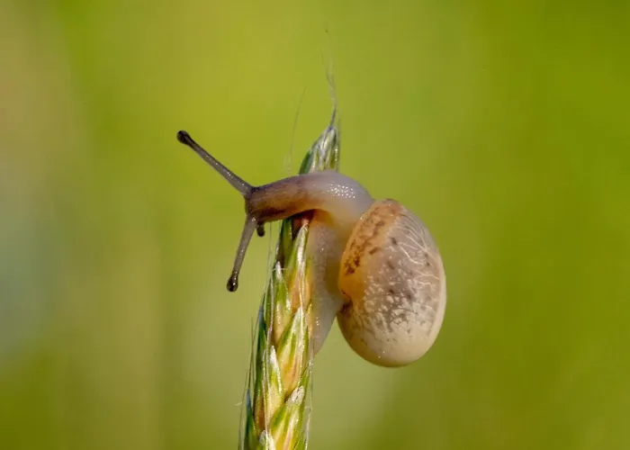 Narkoey Ecologic & Organic Farm Hotel *